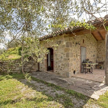 La Casina Degli Olivi Guest House Seggiano ภายนอก รูปภาพ
