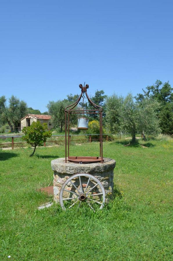 La Casina Degli Olivi Guest House Seggiano ภายนอก รูปภาพ